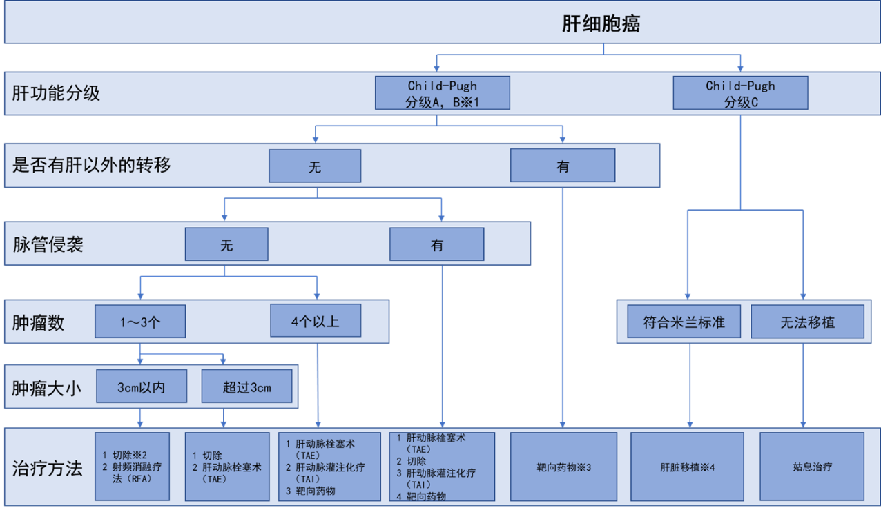 /images/2020/05/28/肝がん 治療選択.png 肝がん 治療選択.png